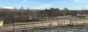 Torbeag Arena