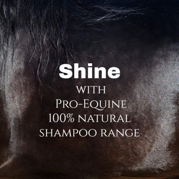 Shine With Pro-Equine