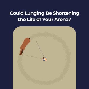 Arena Lunging Diagram