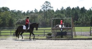 Arena Mirrors mirrors for training