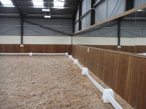 Arena Mirrors mirrors for training