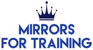 Arena Mirrors mirrors for training