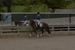Arena Mirrors mirrors for training