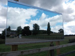 Arena Mirrors mirrors for training
