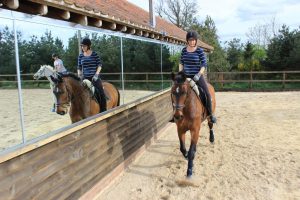 Arena Mirrors mirrors for training