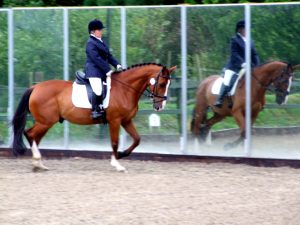 Arena Mirrors mirrors for training
