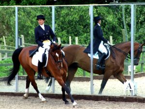 Arena Mirrors mirrors for training