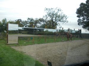 Arena Mirrors mirrors for training