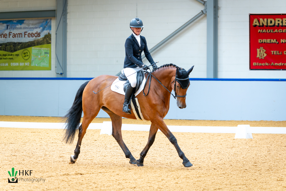 Dressage rider in a navy jacket and helmet guides a bay horse with a white saddle pad in an indoor arena.